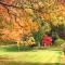 Chestnut Tree Holiday Units