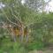 Farmhouse Meiri-Tunga 1