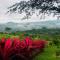Luxury Villa Carao - Serene Amazing Views at Finca Chilanga