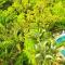 Villa Roca Boutique Resort & Suites - ADULT ONLY