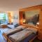 Stilvolle Wohnung mit traumhaftem Bergblick - Disentis