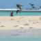 Villa Mia Fulhadhoo