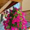 Sineva Guest House