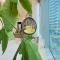 Lxry Full Marina View & RoofTop Pool 40% OFF - Dubaj