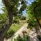 Apartments and Rooms Markovski