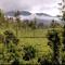Vythiri Green Meadows-one zero one