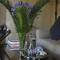 Plumbago Guest House