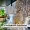Boutique Apartment in Historic Downtown Albany Boutique Apartment in Historic Downtown Albany
