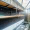 Hostel LARes