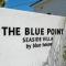 THE BLUE POINT -Seaside Villa- - Ichinomiya