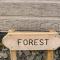 Forest - Dalton-in-Furness