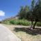 Watering Hole Sicilian Countryside Home - Balata di Baida