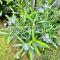 Charming cosy apart with garden free parking - Клеи-Суйи