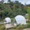 Amoss Farmstay