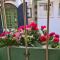 Guesthouse Yildiz
