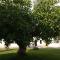 Masseria Pappo Masseria Pappo