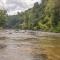 High River Homestays - East Ellijay