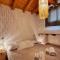 REST AND VIEW APARTMENT