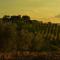 Agriturismo La Casetta del Sole