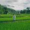 Ikigawa Home - Ban Pha Khap