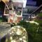 LAVENDER SUITE # Shah Alam I-City Block B Homestay # 2R1B #FREE WIFI & PARKING - Shah Alam