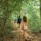 Nebula Nest Cafe & Hostel - Auroville
