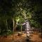 Nebula Nest Cafe & Hostel - Auroville