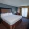 Holiday Inn Express & Suites Buffalo Airport, an IHG Hotel - Cheektowaga