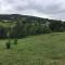 Shepherd's Hut. Shower & WC. Deck. Amazing view - Longhope