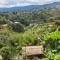 Finca Buena Vista