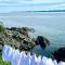 The View suites and breakfast in Triton, Newfoundland - Pilleyʼs Island