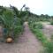 assoukatene lodge - Cap Skirring