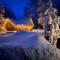 Ron's Place a Log Cabin in Downtown Talkeetna - Talkeetna