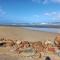 Loeries Nest - Jeffreys Bay