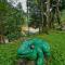 Ende Wayanad Resort