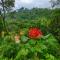 Ende Wayanad Resort