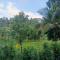 PADAVAYAL GREENS
