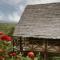 Rhotia Valley Tented camp