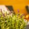 Wellnessoase mitten in Triberg