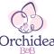 B&B ORCHIDEA