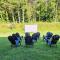 Blue Sky Inn- Complimentary Happy Hour Th-Sun, Veteran owned, Full Breakfast, Best green space, 1 mile from Blue Ridge, Fire Pit