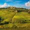 Tranquil Vineyard Barn in Heart of Chianti - Greve in Chianti