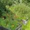 A true nature pearl in idyllic surroundings but close to the city - Holbaek