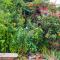 Canarian Cottage with terrace surrounded by garden - Alisios