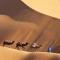 Merzouga Luxury Traditional Camp
