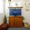New Luxury Shipping Container