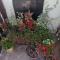 Apartman Bepo