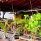 Panama House Bed & Breakfast