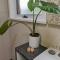 Cosy Brick Beachouse - ALL INCLUDED