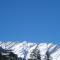 Tourist Hotel 10 minutes walking distance from the mall - Manali